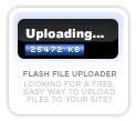 Flash File Uploader