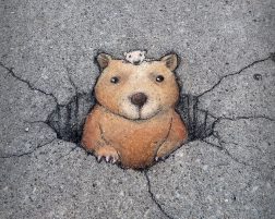 Street Art, by David Zinn