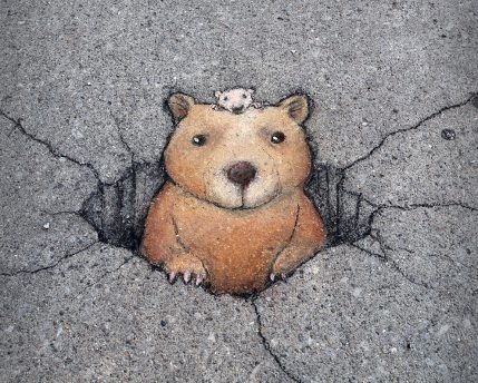 Street Art, by David Zinn